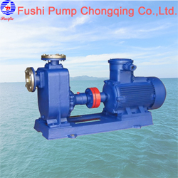 CYZ-A Marine Drainiage Pump.jpg